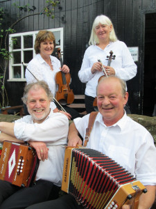 Shave The Donkey Ceilidh Band